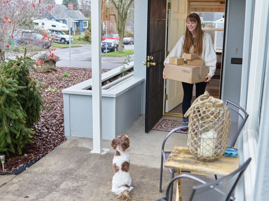 The Rise of Raw Dog Food Delivery Services