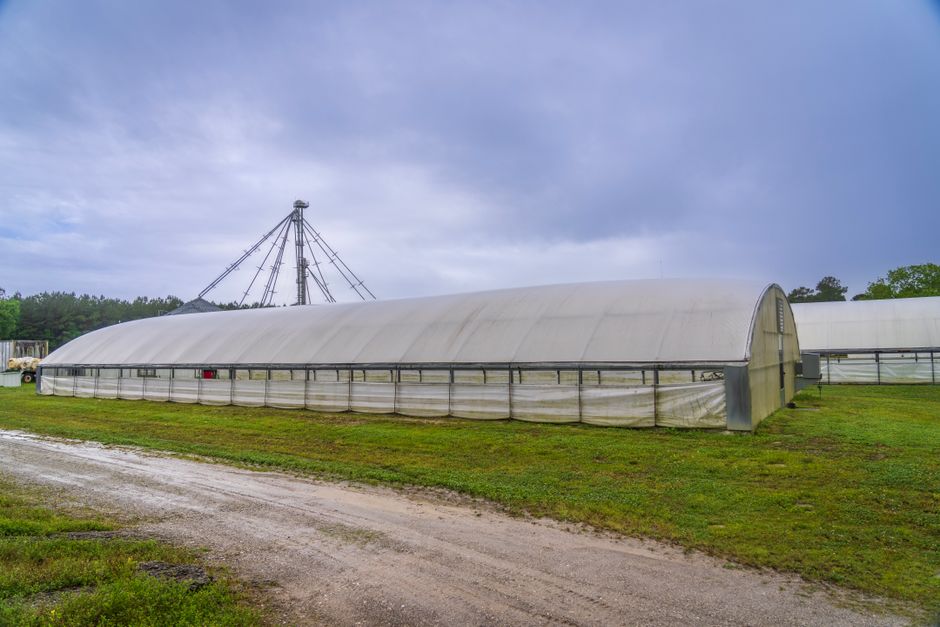 Exploring the Essential Equipment for Greenhouses