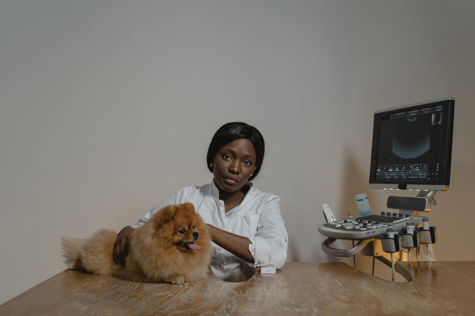 La importancia de elegir una clínica veterinaria de confianza