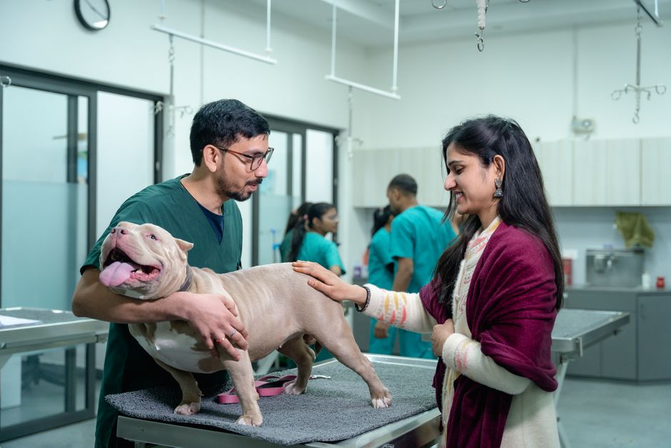 La importancia de elegir una clínica veterinaria adecuada