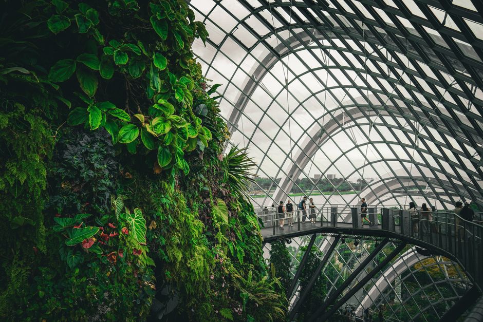 The Future of Eco-Friendly Design in Architecture