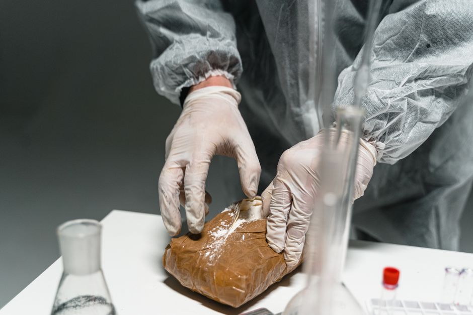 Understanding the Importance of Drug Testing Services